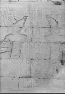 Photo »857« of the Edfu-Project.