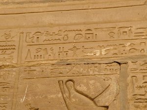 Photo »D05_1915« aus dem Edfu-Projekt.