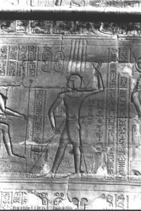 Photo »433« aus dem Edfu-Projekt.