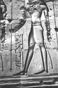 Photo »1298« aus dem Edfu-Projekt.
