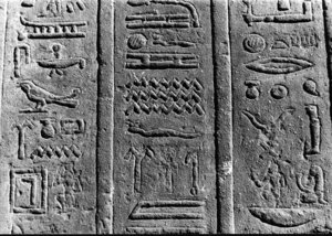 Photo »2751« aus dem Edfu-Projekt.