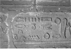 Photo »3800« aus dem Edfu-Projekt.