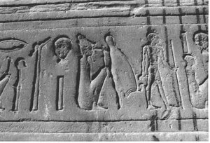 Photo »3927« aus dem Edfu-Projekt.