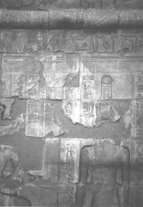 Photo »4240« aus dem Edfu-Projekt.