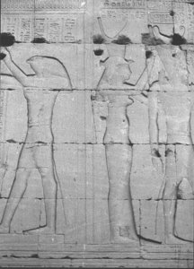Photo »726« of the Edfu-Project.