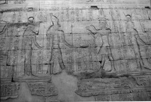 Photo »1494« aus dem Edfu-Projekt.