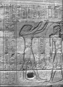 Photo »3609« aus dem Edfu-Projekt.