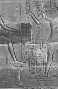 Photo »4205« aus dem Edfu-Projekt.