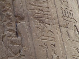 Photo »D05_6989« of the Edfu-Project.