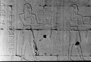 Photo »21« of the Edfu-Project.