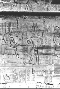 Photo »422« aus dem Edfu-Projekt.