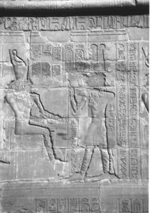 Photo »4249« aus dem Edfu-Projekt.