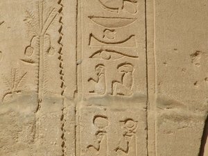 Photo »D05_6021« of the Edfu-Project.