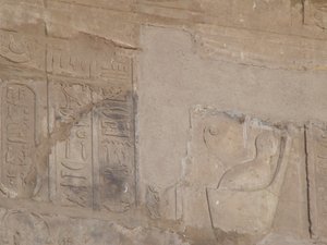 Photo »D05_6701« of the Edfu-Project.