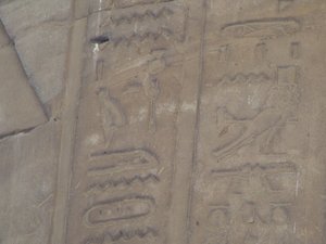Photo »D05_7276« of the Edfu-Project.