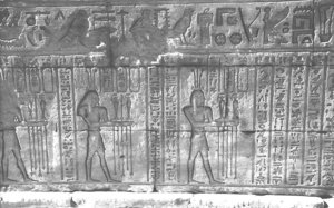 Photo »1099« aus dem Edfu-Projekt.
