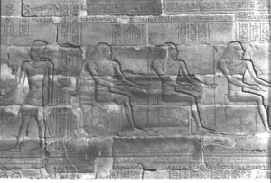 Photo »353« aus dem Edfu-Projekt.