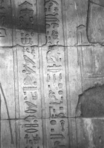 Photo »4169« aus dem Edfu-Projekt.