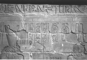 Photo »4310« aus dem Edfu-Projekt.