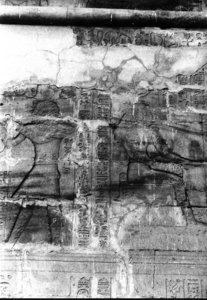 Photo »484« aus dem Edfu-Projekt.