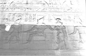 Photo »1114« aus dem Edfu-Projekt.