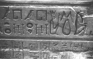 Photo »1176« aus dem Edfu-Projekt.
