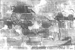 Photo »374« aus dem Edfu-Projekt.