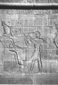 Photo »4255« aus dem Edfu-Projekt.