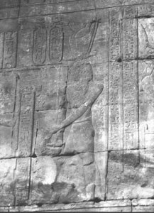 Photo »3564« of the Edfu-Project.