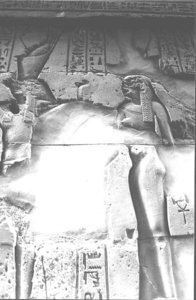 Photo »1308« aus dem Edfu-Projekt.