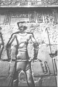 Photo »1274« aus dem Edfu-Projekt.