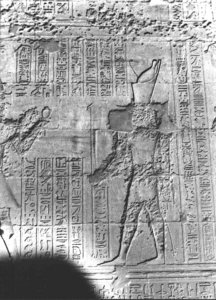 Photo »2798« of the Edfu-Project.