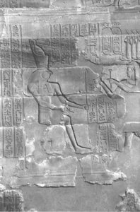 Photo »4191« aus dem Edfu-Projekt.