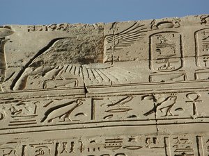 Photo »D03_0979« aus dem Edfu-Projekt.