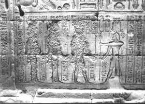 Photo »2936« aus dem Edfu-Projekt.