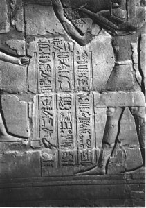 Photo »4009« aus dem Edfu-Projekt.