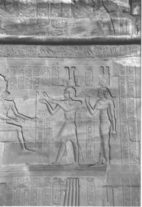 Photo »4342« aus dem Edfu-Projekt.