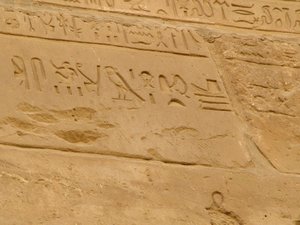 Photo »D05_1921« aus dem Edfu-Projekt.