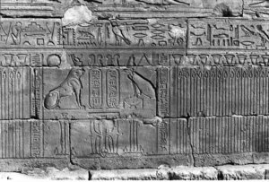 Photo »200« of the Edfu-Project.