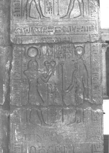 Photo »3171« aus dem Edfu-Projekt.