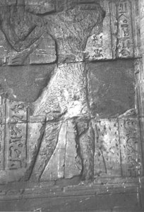 Photo »3930« aus dem Edfu-Projekt.