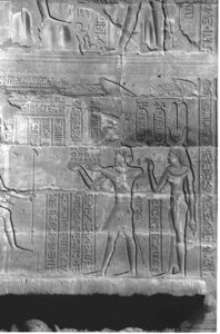 Photo »4071« aus dem Edfu-Projekt.