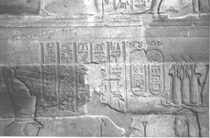 Photo »4193« aus dem Edfu-Projekt.