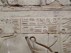 Photo »D05_3473« aus dem Edfu-Projekt.