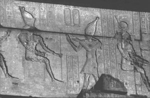 Photo »2241« of the Edfu-Project.