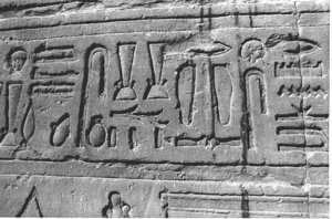 Photo »3923« aus dem Edfu-Projekt.