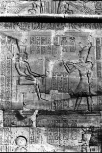 Photo »460« aus dem Edfu-Projekt.