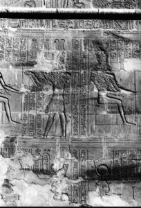 Photo »473« aus dem Edfu-Projekt.