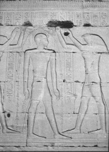 Photo »725« of the Edfu-Project.