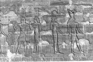 Photo »287« aus dem Edfu-Projekt.